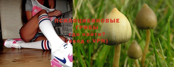 jwh Богородицк
