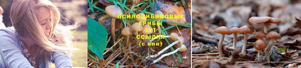 jwh Богородицк