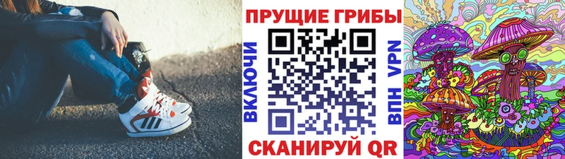 дарнет шоп  Рубцовск  ссылка на мегу зеркало  Псилоцибиновые грибы Psilocybe 